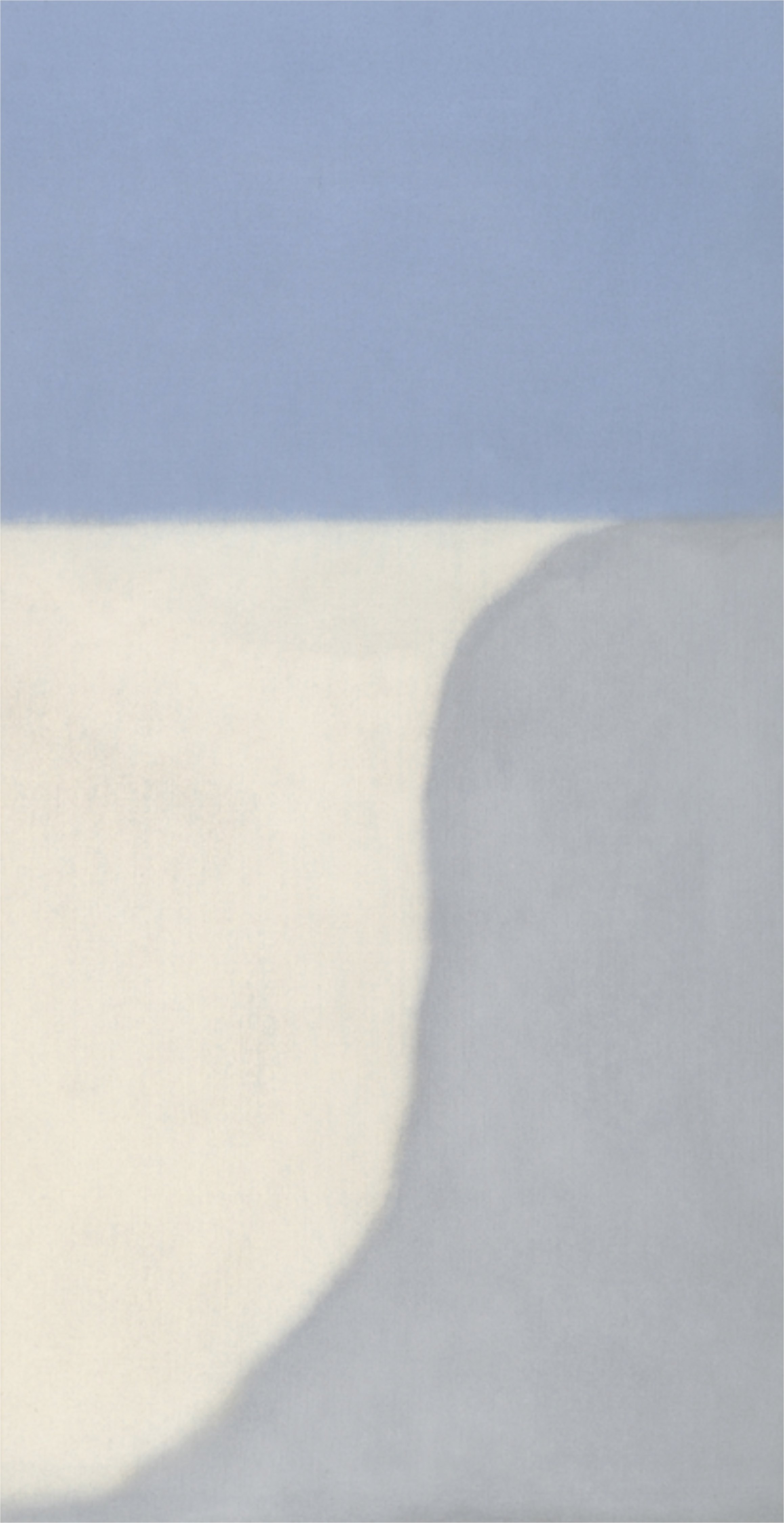 Untitled (Gray/Blue Vertical), 2014.<br/>Oil on linen, 62" x 32".<br/>Private Collection.